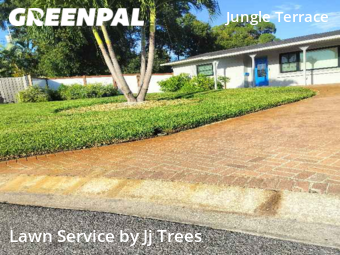 Grass Cut nearby St. Petersburg, FL, 