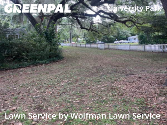 Grass Cutting nearby Gainesville, FL, 