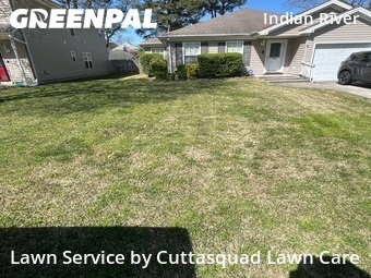 Grass Cut nearby Chesapeake, VA, 