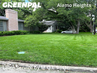 Lawn Maintenancein Alamo Heights,78209,Lawn Care Service by M.Q.L.C. Llc., work completed in Feb , 2026