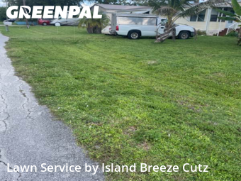 Yard Mowing nearby Punta Gorda, FL, 