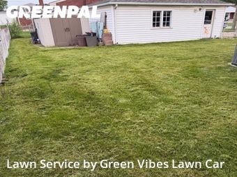 Lawn mowed in Southgate, 48195
