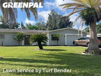 Lawn Cut nearby Clearwater, FL, 