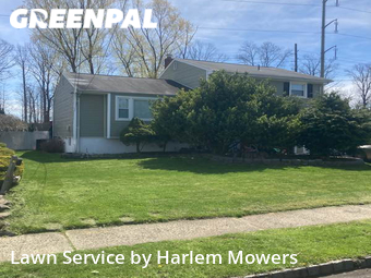 Lawn Cutting nearby Clark, NY, 