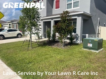 Lawn Mow nearby Davenport, FL, 