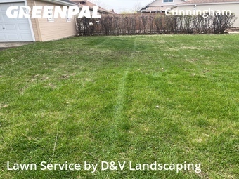 Yard Mowing nearby Joliet, IL, 