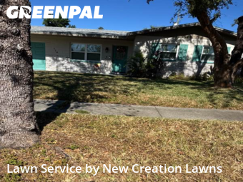 Lawn Cuttingin Brandon,33511,Lawn Service by New Creation Lawns, work completed in Dec , 2025