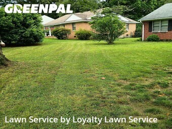 Yard Cutting nearby East Ridge, TN, 