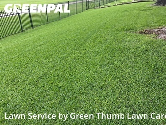 Lawn Cut nearby Mc Kinney, TX, 