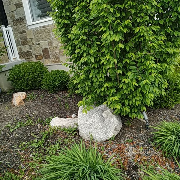 local-lawn-care-services-in-Sandy-UT
