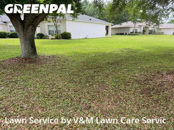 Yard Cutting nearby Lake Mary, FL, 