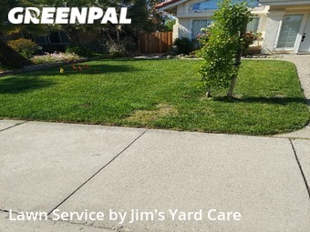 Lawn Cut nearby Tracy, CA, 