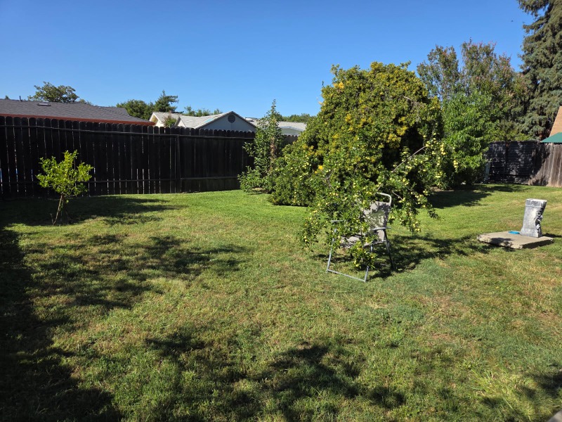 affordable-lawn-services-in in Arden-Arcade, CA