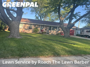 Lawn Mowing Service nearby Joliet, IL, 