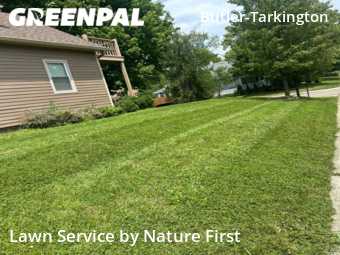 Yard Mowing nearby Indianapolis, IN, 