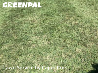 Grass Cutting nearby Murfreesboro, TN, 