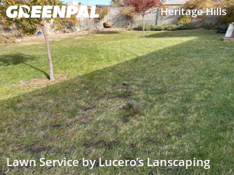 Grass Cutting nearby Albuquerque, NM, 
