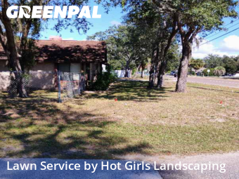 Yard Cutting nearby Spring Hill, FL, 