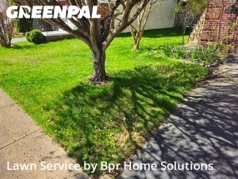 Lawn mowed in Fairfax, 22031