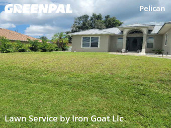 Yard Cutting nearby Cape Coral, FL, 