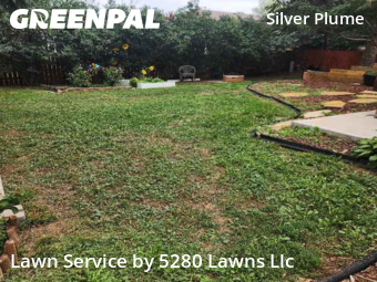 Lawn Mow nearby Fort Collins, CO, 