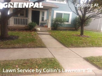 Lawn mowed in Austin, 78744