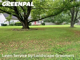 Yard Cutting nearby Athens, AL, 