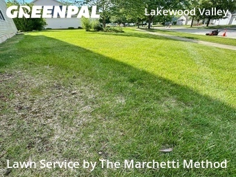 Lawn Mowing Service nearby Aurora, IL, 