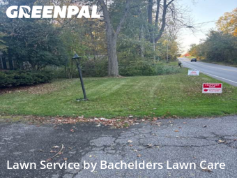 Lawn Maintenancein Mansfield,44904,Yard Cutting by Bachelders Lawn Care, work completed in Nov , 2025
