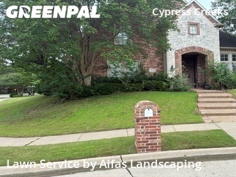 Lawn Mowin Plano,75093,Lawn Cutting by Alfas Landscaping, work completed in Jun , 2026