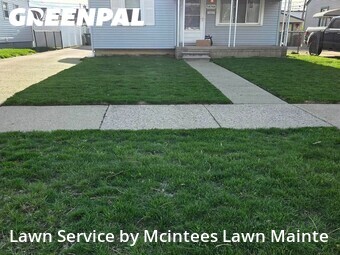 Grass Cut nearby Southgate, MI, 