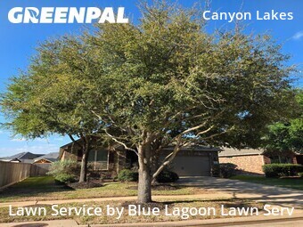 Lawn Mowin Cypress,77433,Lawn Mow by Blue Lagoon Lawn Serv, work completed in Jun , 2026