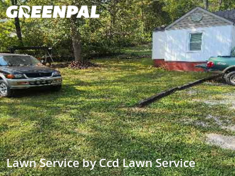 Lawn Cut nearby Knoxville, NC, 