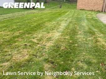 Grass Cutting nearby South Euclid, OH, 