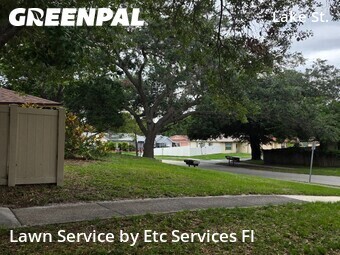 Lawn Servicein Palm Harbor,34684,Yard Mowing by Etc Services Fl, work completed in Jun , 2026