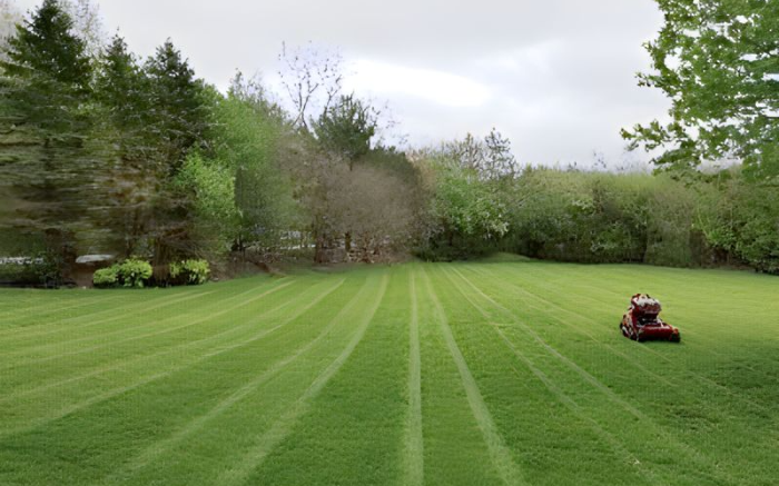 Work Image 1