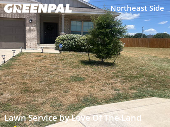 Lawn Mow nearby Converse, TX, 