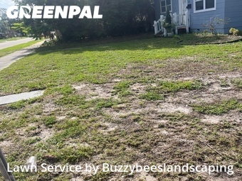 Grass Cut nearby St. Petersburg, FL, 