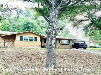 Yard Cutting nearby Tyler, TX, 