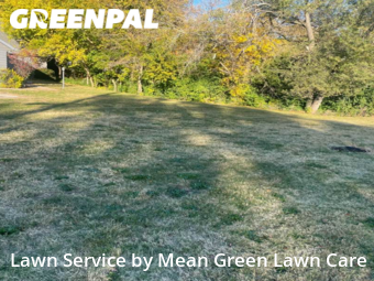 Grass Cut nearby Raytown, MO, 