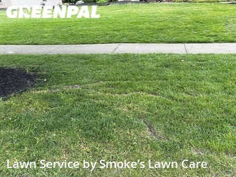 Lawn Service nearby Strongsville, OH, 