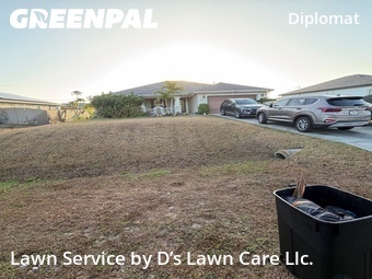 Grass Cut nearby Cape Coral, FL, 
