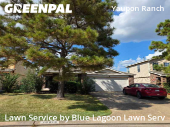 Lawn Mowin Cypress,77433,Lawn Service by Blue Lagoon Lawn Serv, work completed in Nov , 2025