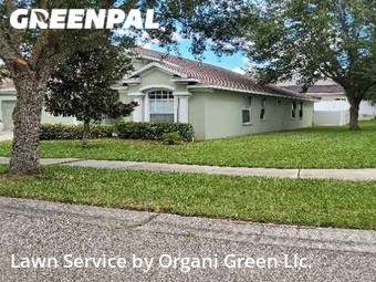 Lawn Mow nearby Valrico, FL, 
