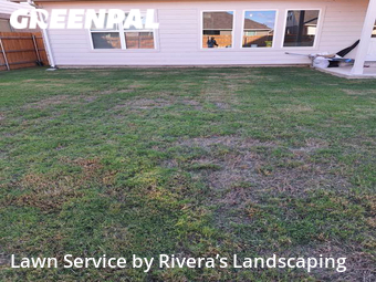 Grass Cut nearby Manor, TX, 