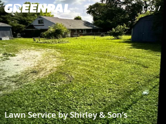 Grass Cutting nearby Indianapolis, IN, 