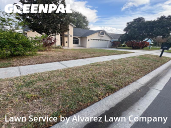Grass Cuttingin Ocoee,34761,Lawn Service by Alvarez Lawn Company, work completed in Dec , 2025
