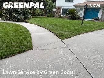 Lawn Mowing nearby Tampa, FL, 