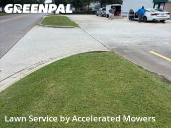 Lawn Maintenance in Trussville, 35173, Lawn Work by Accelerated Mowers , work completed in Nov , 2025