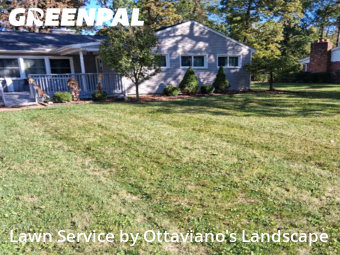 Yard Mowing nearby Marion, OH, 